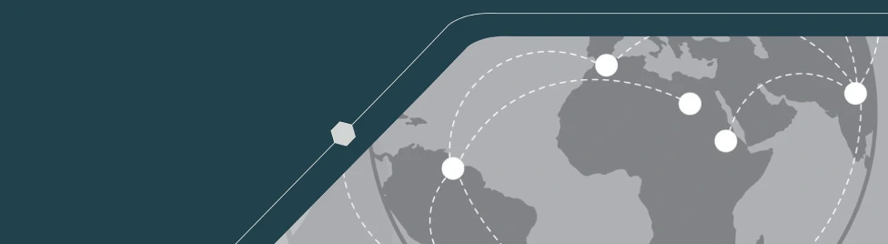 NetSuite Global erp solutions